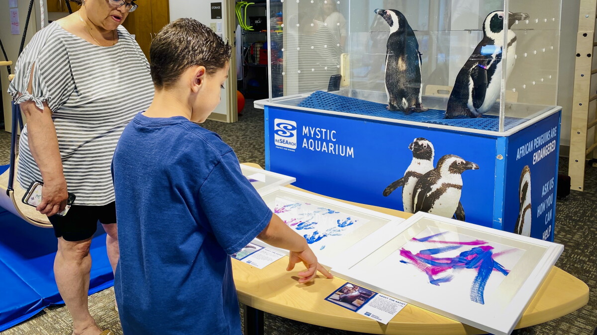 Mystic penguins present penguin-made art to children with autism - Vimarsana News