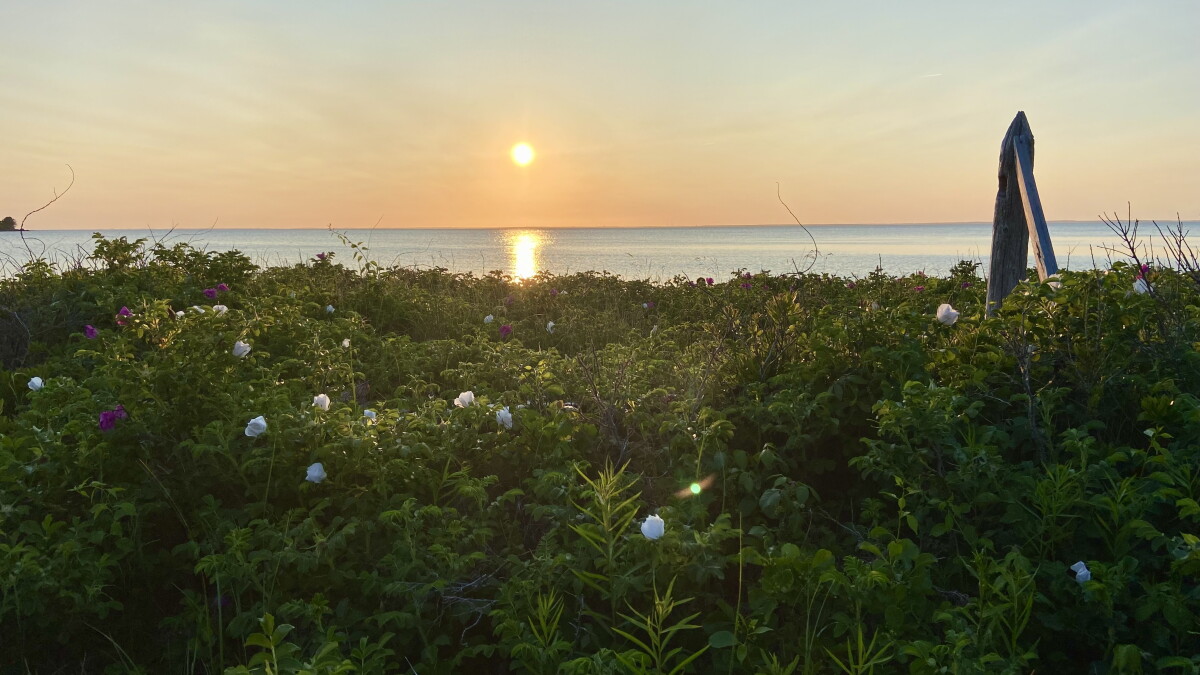 News Roundup: New Bedford strike pauses Vineyard Wind; Barnstable County gives out $5M - Vimarsana News
