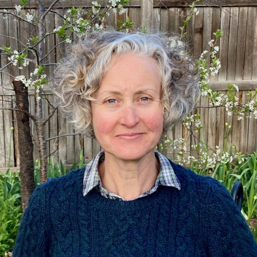 Colleen Slevin, a woman with silvery-blonde hair and wearing a deep blue sweater, poses outside in front of a brown fence for a photo