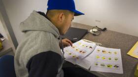 A student studies a sheet with fruits and vegetables in the Indiana Region 4 migrant education center's mobile classroom.