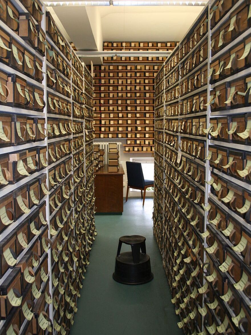 The archive contains boxes filled with notes on each Latin word. In most cases, the scholars made the notes more than a century ago.
