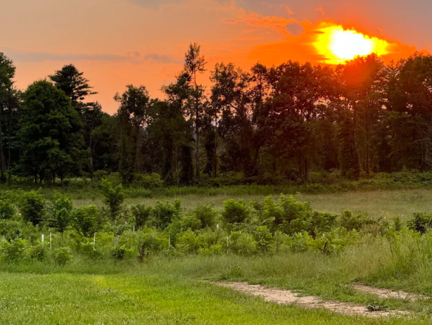 Yellowbud Farm in Northfield, Massachusetts, 