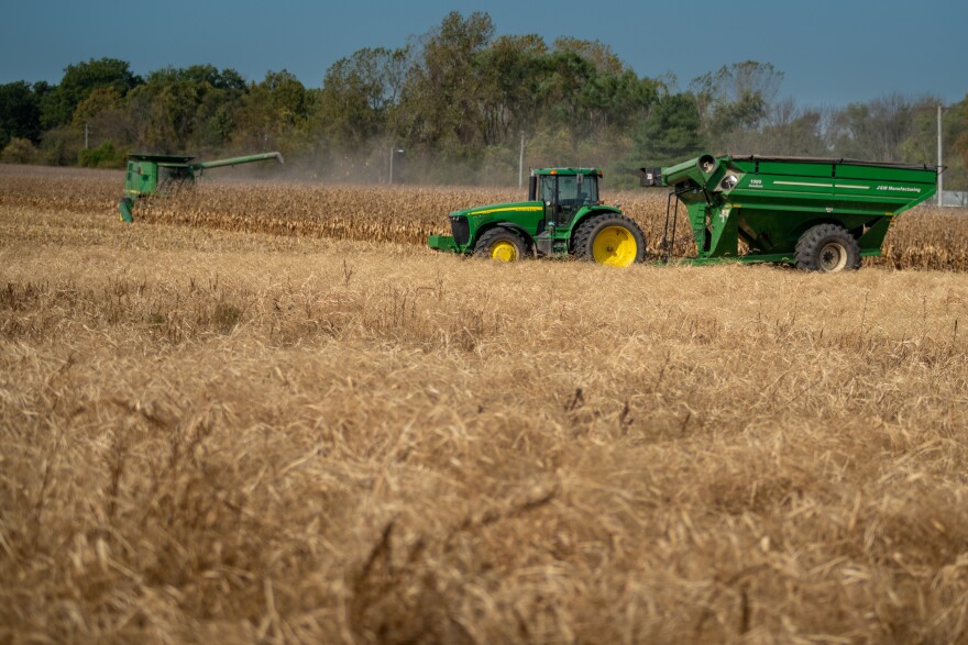 Green harvesters and tractors are harvesting golden dry cornfields on a midwestern farm.