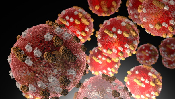 Measles is a highly infectious, airborne disease that is known to cause serious health complications, especially in vulnerable populations.