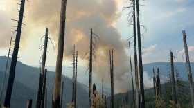 A smoke plume from the Emigrant Fire seen through nearby dead standing trees, commonly called snags.