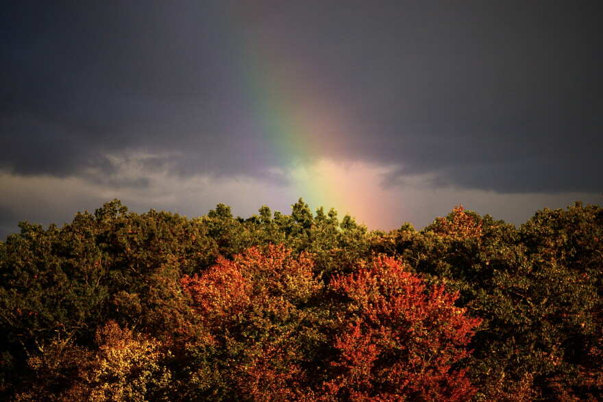 A rainbow appears behind a line of trees as afternoon storm clouds pass over the East Hartford area Monday, October 17, 2023.