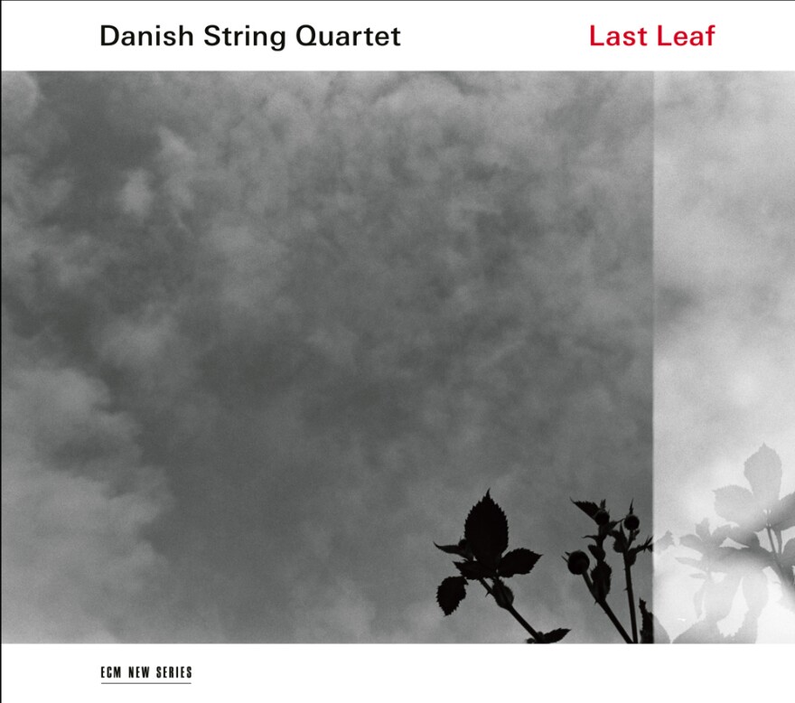 Last leaf