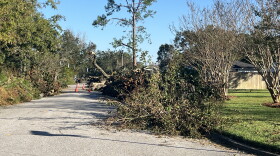 Piles of branches and cut tree limbs line a street in the East Hill neighborhood of Pensacola, following the storm. Traffic cones block traffic.