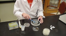 Students use the scientific method to learn about the bacteria levels in beer pong, on menus, sharing popcorn and other common activities that spread germs. 
