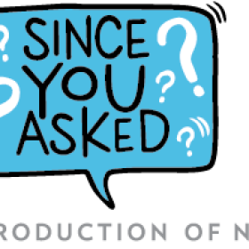 nspr-sya-program-logo_1_.png