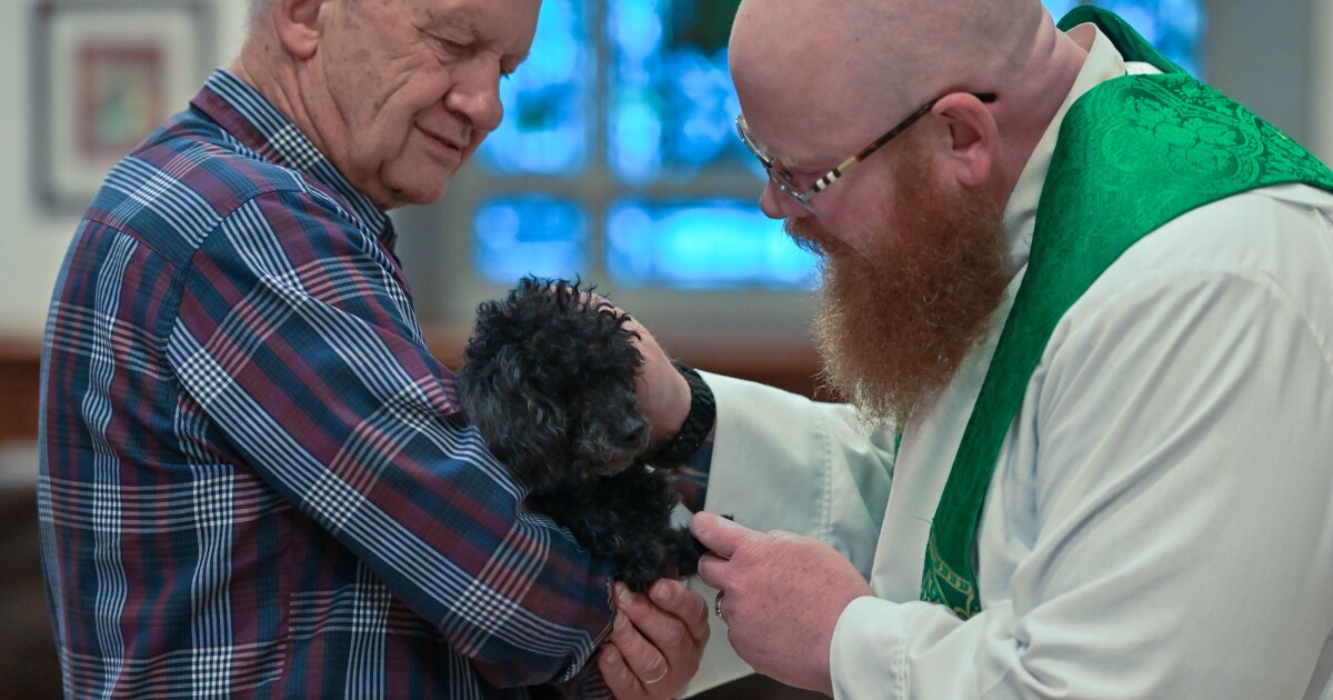 Blessing of the Animals at St. Luke’s in Scranton