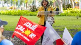  Miami-Dade County Mayor Daniella Levine Cava speaks during a press conference outside of Government Center on Monday, May 15, 2023, in downtown Miami, Fla.