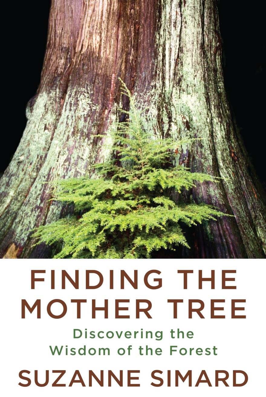 <em>Finding the Mother Tree: Discovering the Wisdom of the Forest </em>by Suzanne Simard