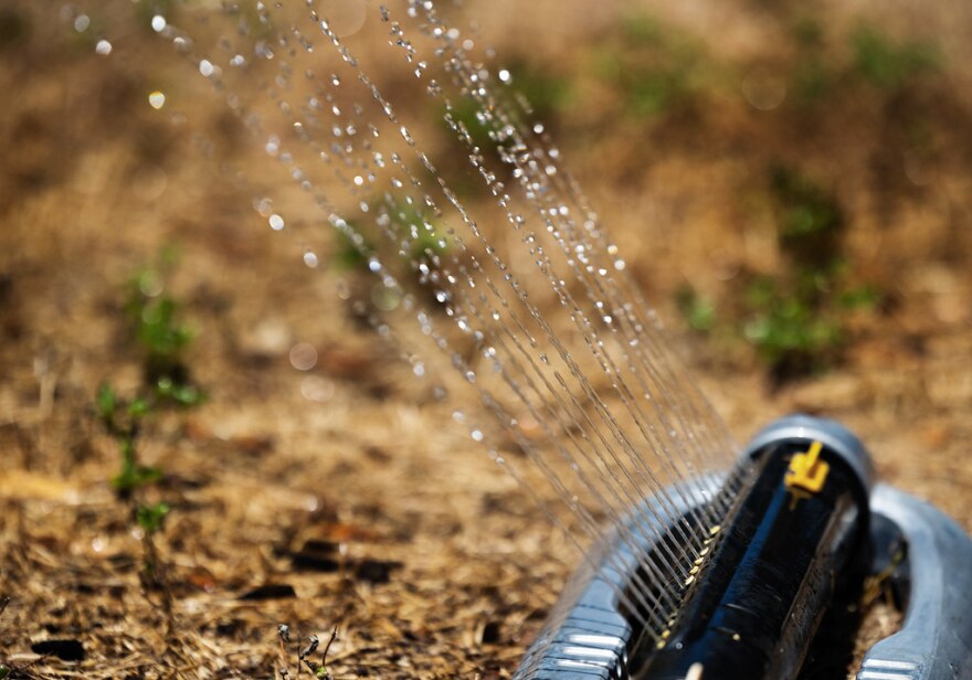 Austin declared new drought restrictions in August. Water use