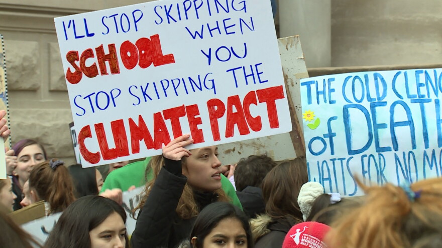 Signs at the Youth Climate Strike.