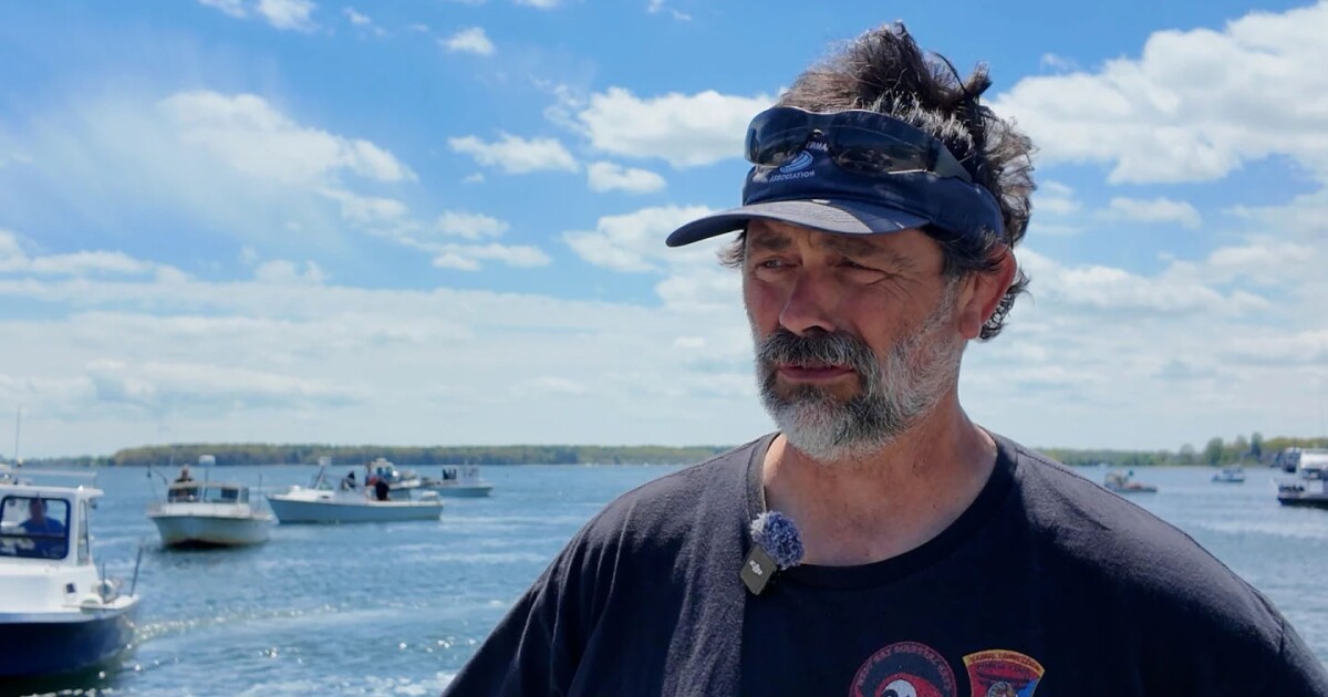 Rhode Island quahog industry reels from ‘gut-wrenching’ sewage spill