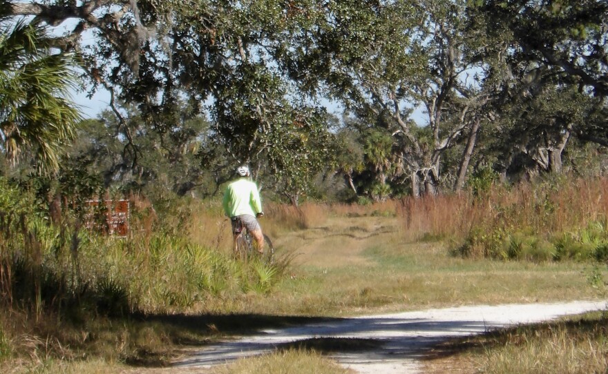 Bicyclist in the grass off a nature trail