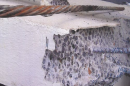 A close-up on corrosion of a structural element to a condo building. Sections of concrete have broken away, reveling metal bars.