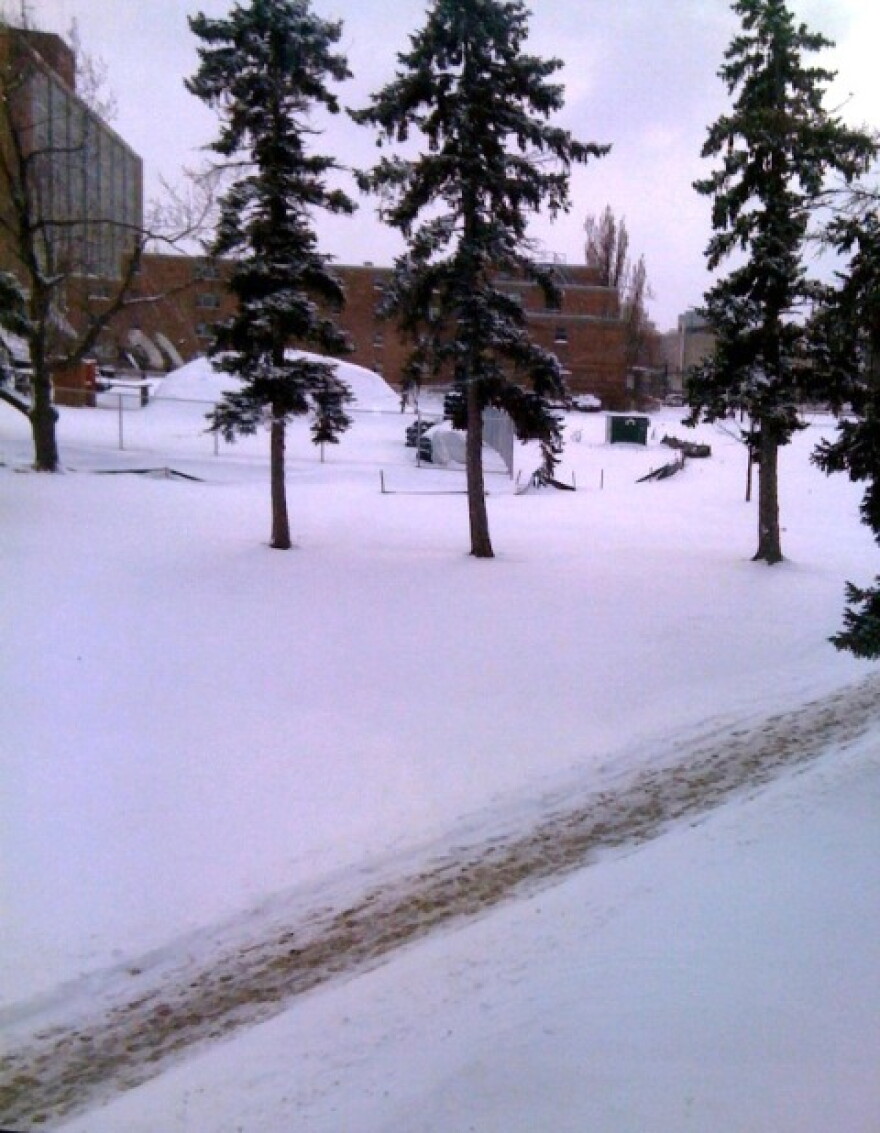 Fresh snowfall in the city of Buffalo