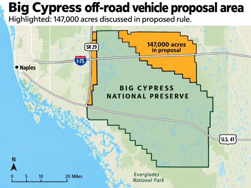 The yellow mark the area tha twould be opened with trails and waterways newly availabl for off-road vehicles. The area alogn thwestern border of BIg Cypress runs along S.R> 29, already a hotspot for vehicle collisions wit hFlorida panthers that usually result in the death of the endangered animal