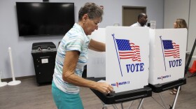 woman casting a vote in privacy booth 