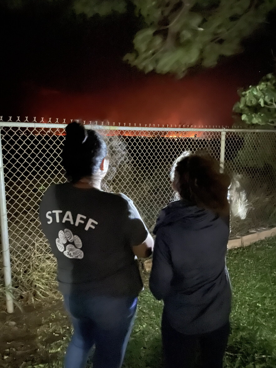 Maui Humane Society staff and volunteers gathered at the central Maui location to help pets as the fires approached.