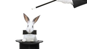 A rabbit in a hat and hand holding a magic wand isolated on white background