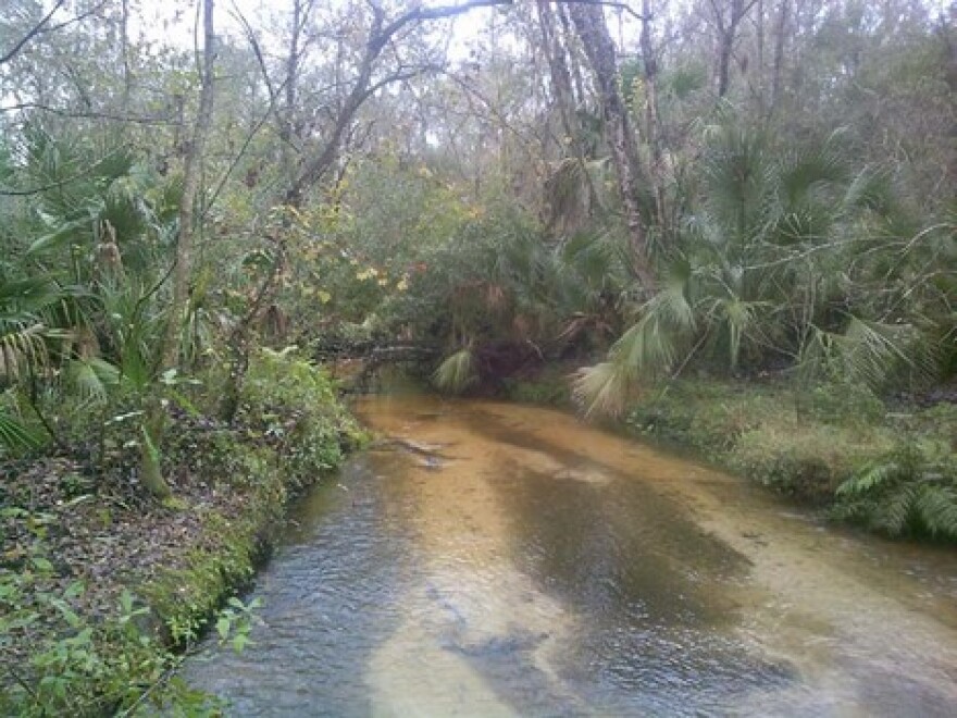 Creek running through property