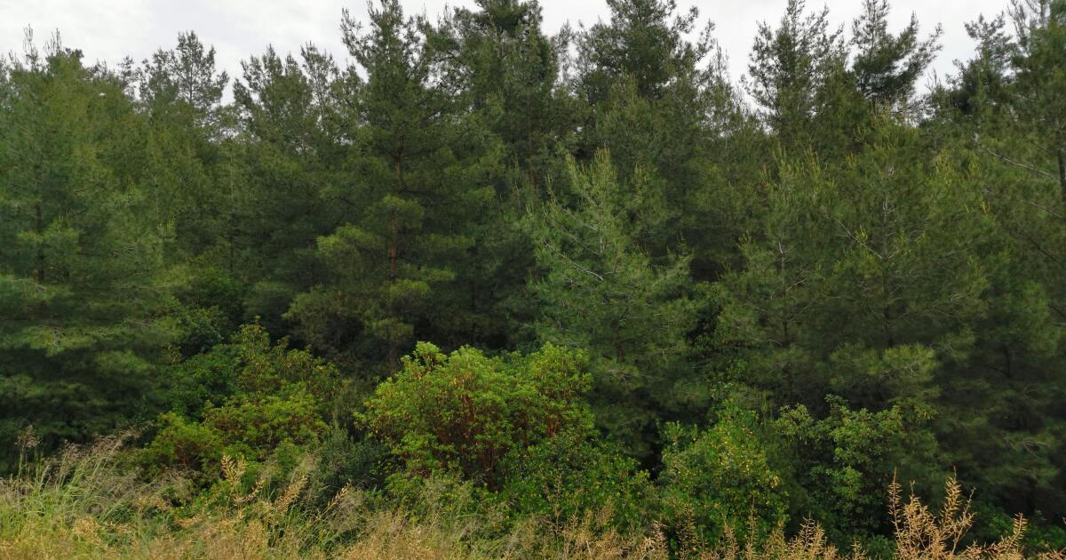 Biomimicry: Designing like Nature to Solve Human Problems | Environmental Minute