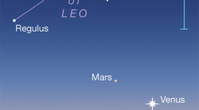 Venus and Mars make their once-every-two-years conjunction this month, granting grace and eternity to all the best love stories.