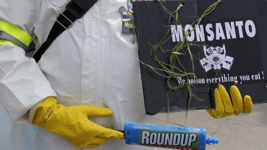 A protester takes part in a March Against Monsanto in Paris in May 2016. The European chemical and pharmaceutical giant Bayer is buying Monsanto — and dropping the U.S. company's now-controversial name.