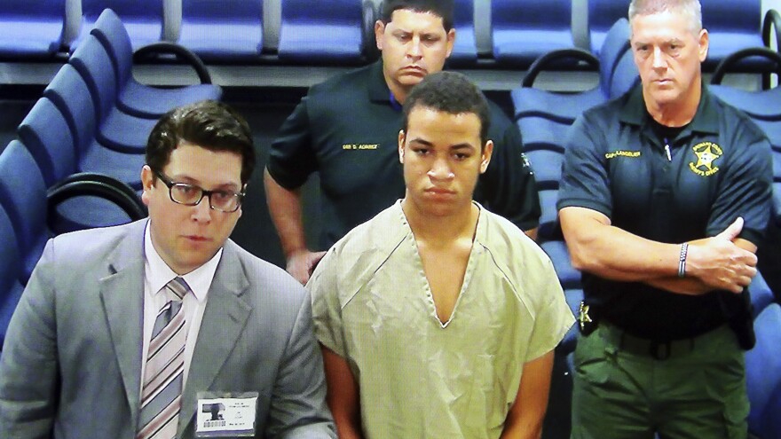 Zachary Cruz, the brother of the Florida school shooting suspect, makes his first appearance before a judge earlier this week, after he was arrested for trespassing on the grounds of Marjory Stoneman Douglas High School.