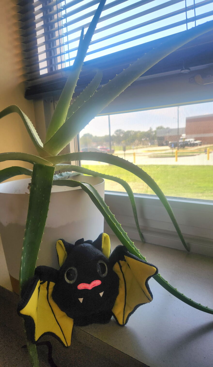 A bat plush sits on a desk at the front office of Truesdell Middle School. Staff at the school are coping with the situation with a good sense of humor.