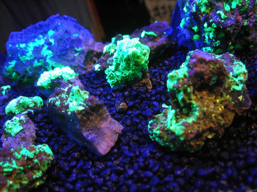 Uranium Closeup. Photo by bionerd on flickr.com