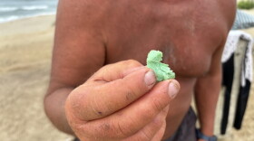 One example of the potpourri of green foam debris from the broken Vineyard Wind turbine blade that has washed ashore on Nantucket, impacting business and beachgoers.