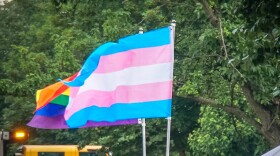 Transgender and LGBTQ flags fly at a Baltimore Pride parade in 2016.