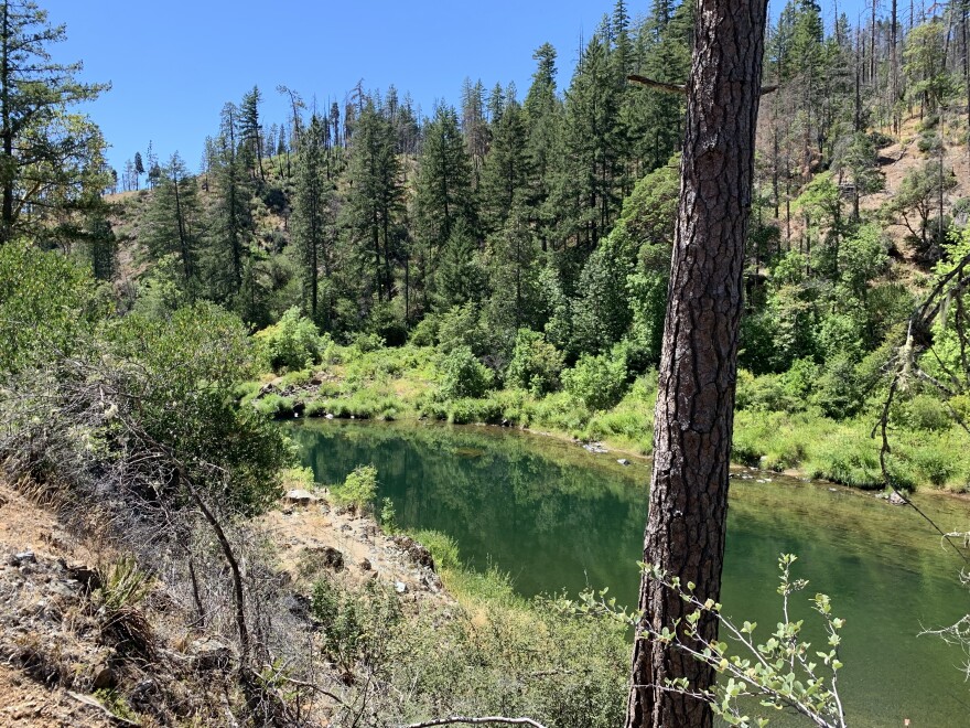  The Illinois River near Selma, OR.