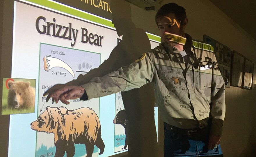 As Grizzlies Expand Eastward, FWP Plays Role Of Peacemaker | Montana Public  Radio