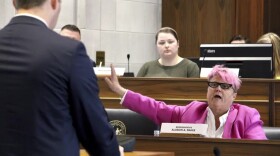 North Carolina state Rep. Allison Dahle, a Wake County Democrat, questions Nash County Republican Rep. Allen Chesser about a handgun access bill during a committee meeting at the Legislative Building in Raleigh, N.C., on Wednesday, Feb. 15, 2023.