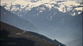Forest lands near Skykomish, Washington.
