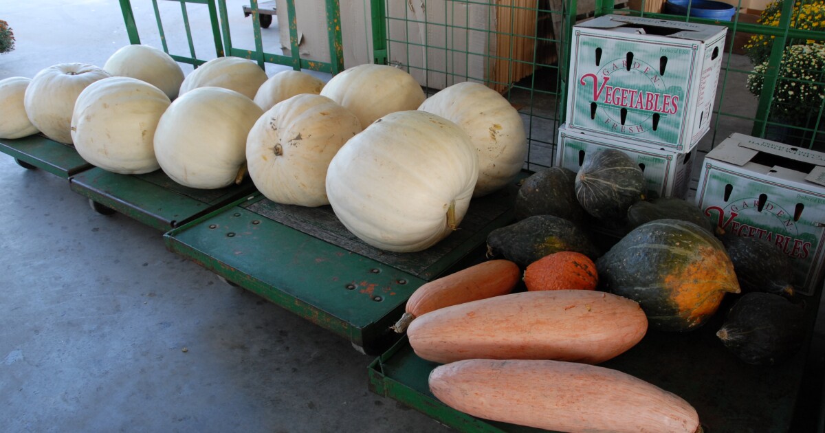 MU Extension Offers Community Gardening Toolkit for Missouri Communities