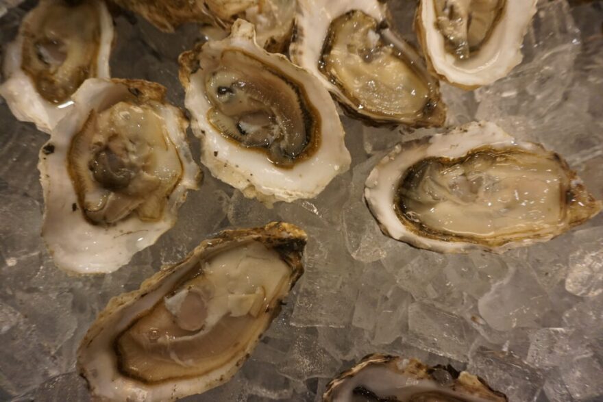 Oysters from Jackolof Bay Oyster Company is displayed on ice at the Mariculture Conference of Alaska on March 10, 2026.