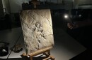 USF Professor Ryan Carney shines a light to illuminate the tiny detailed feathers in a limestone fossil of Archaeopteryx. He had to scan and map out each detail for his 3D reconstruction.