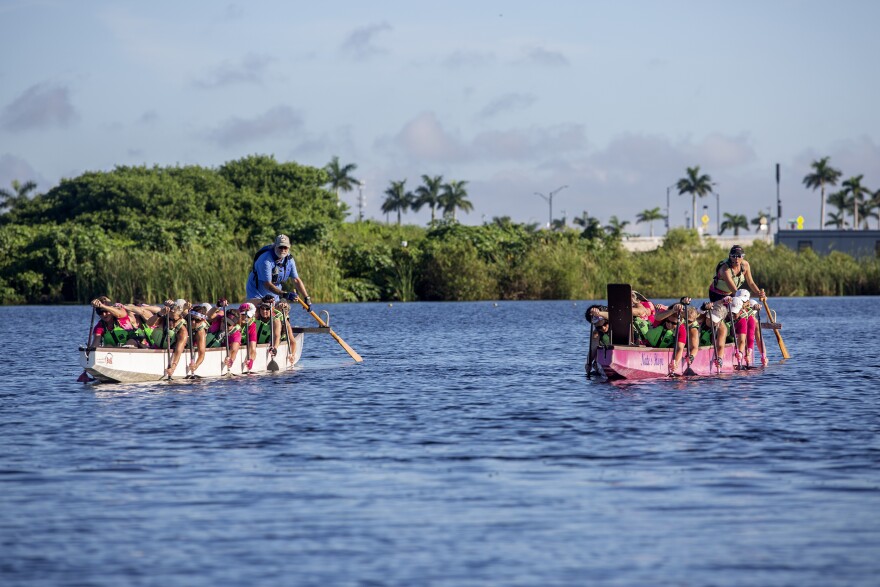 A pink dragon boat and white dragon boat paddle alongside each other during a practice run before competition.