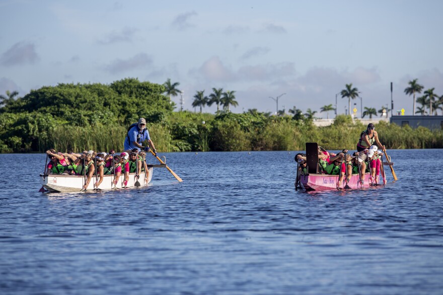 A pink dragon boat and white dragon boat paddle alongside each other during a practice run before competition. 