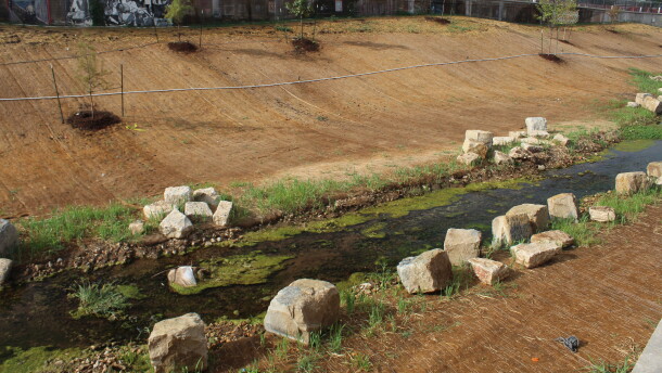 Jordan Creek in downtown Springfield that is part of Renew Jordan Creek, a daylighting project by the City of Springfield, Mo. (Photo taken September 11, 2026)