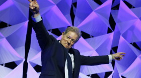 Comedian Jimmy Tingle takes the stage at the 2018 Massachusetts Democratic Party Convention, Saturday, June 2, 2018, in Worcester. Tingle pursued the Democratic nomination for lieutenant governor that year.