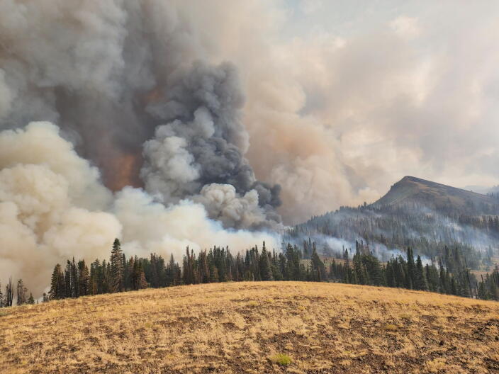 Dark smoke rises above a line of trees with mountains visible on the right side of the picture.