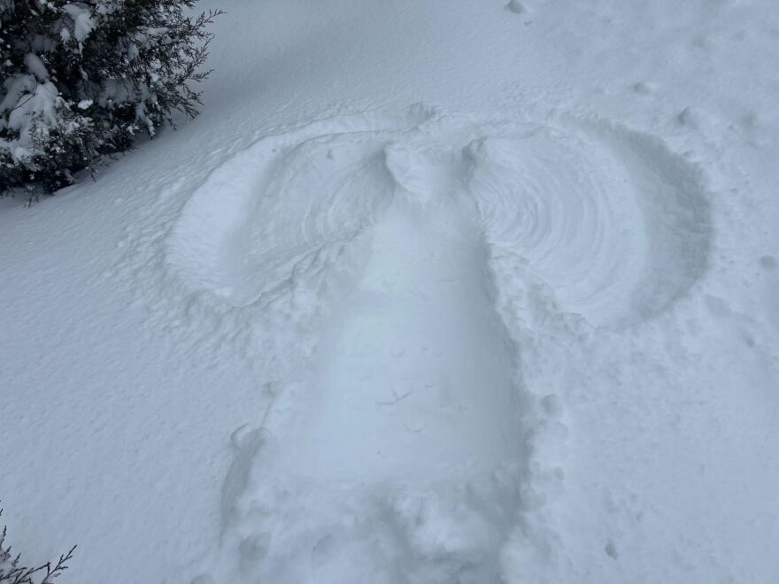 A snow angel pictured in Yellow Springs on Jan. 26.