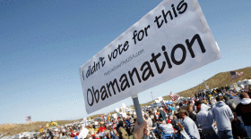 Tea Party supporters gather at the "Showdown in Searchlight" rally in Searchlight, Nev., on March 27. The management book <em> The Starfish and the Spider</em> is a hit with Tea Partiers, and its co-author Rod Beckstrom says he isn't surprised. He says the book is a guide for people to organize decentralized movements like the Tea Party.